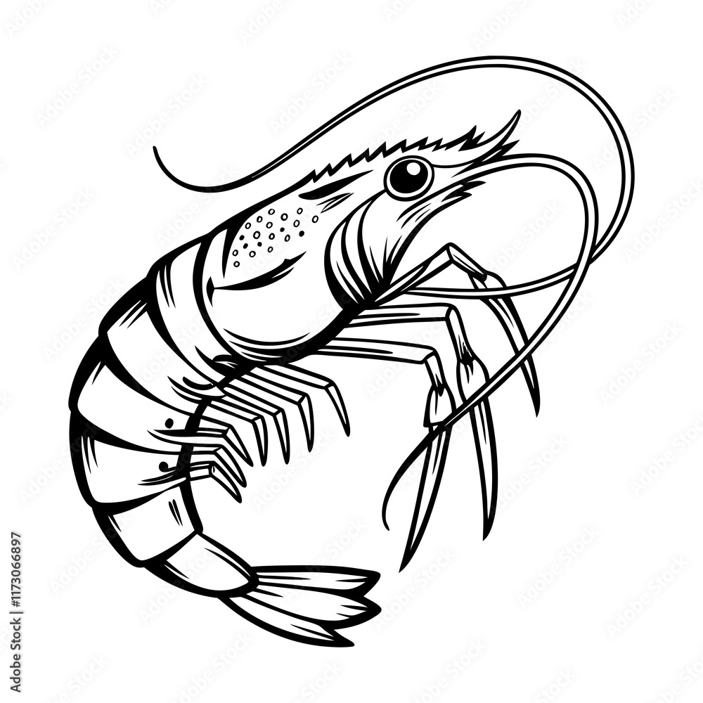 Shrimp Vector Style silhouette Art Design Shrimp Vector Style silhouette Art Design