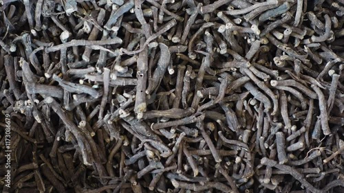 Dried Withania somnifera, known commonly as ashwagandha. Raw materials for making herbal medicines ready for sale. photo