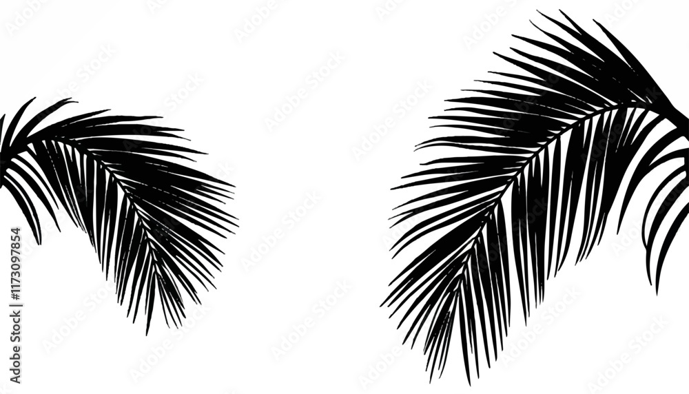 Exploring the elegance of tropical palm leaves against a simple backdrop of white
