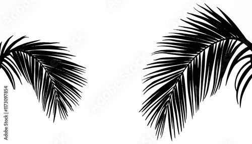Obraz na płótnie Exploring the elegance of tropical palm leaves against a simple backdrop of white w salonie