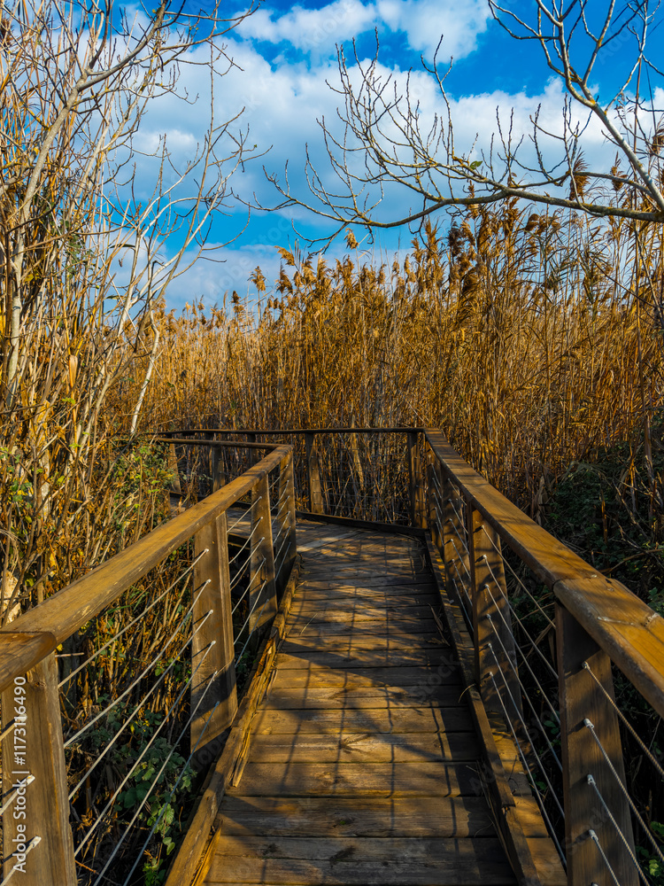 Trail with magical landscapes to nature Trail with magical landscapes to nature