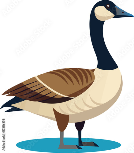 Canadian goose vector artwork illustration