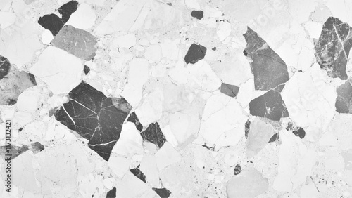 Polished terrazzo marble floor texture in black and white. Modern white and black marble terrazzo texture with abstract patterns. Exquisite white and black marble floor, a stunning display of natural 