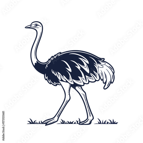 ostrich silhouette vector illustration