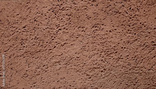 Wallpaper Mural Close-up of a textured brown plaster wall with uneven surface. Torontodigital.ca