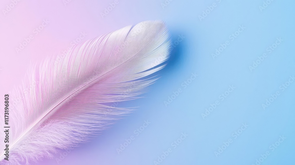 Feather abstract background concept. A delicate pink feather softly resting against a pastel blue background. Feather abstract background concept. A delicate pink feather softly resting against a pastel blue background.