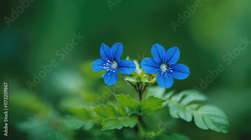 Bright blue flowers bloom in a lush green garden during springtime