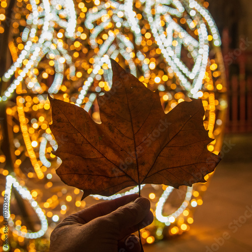 Dried leaf on London street 2
