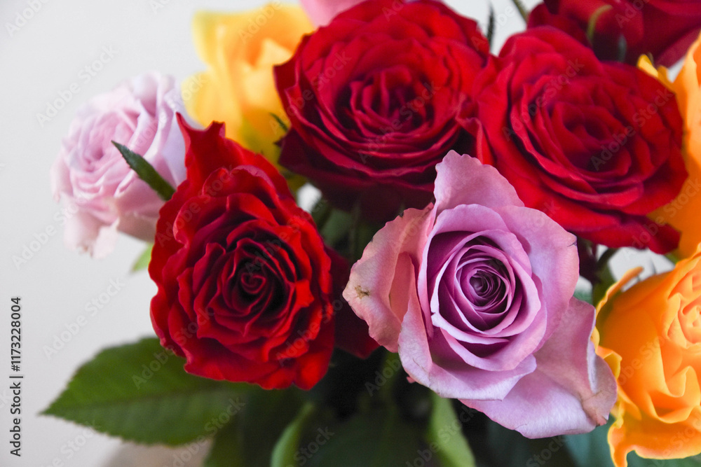 カラフルな薔薇 カラフルな薔薇