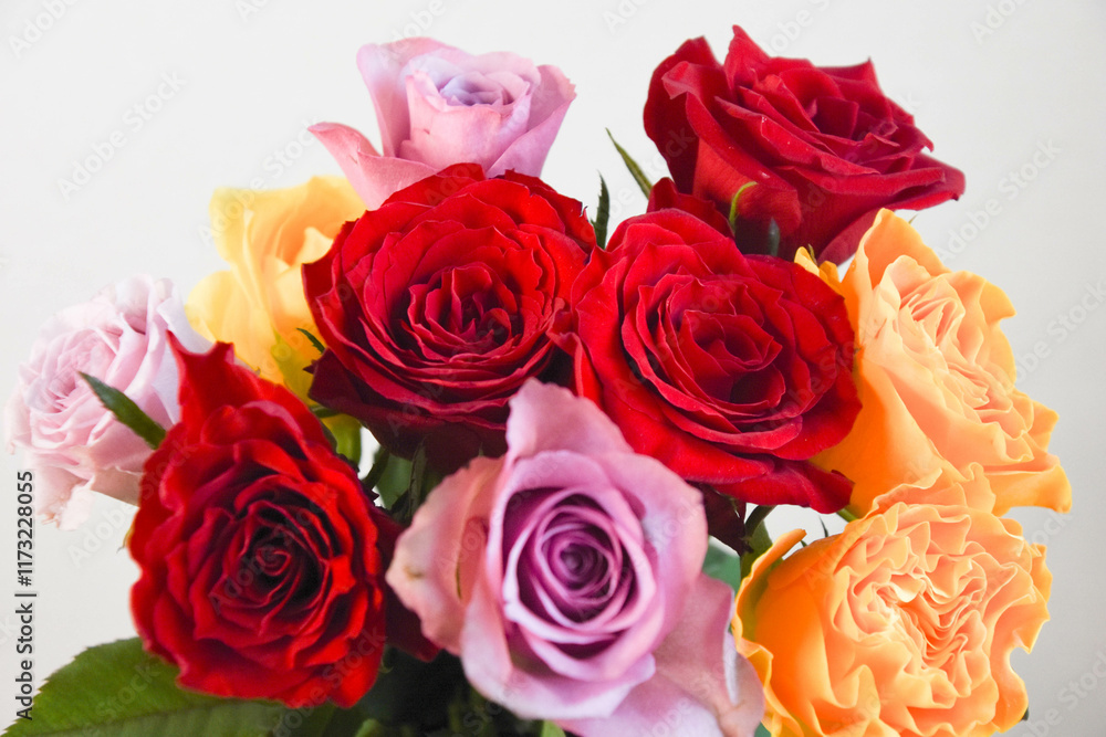 Obraz premium カラフルな薔薇