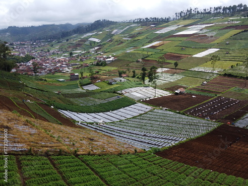 VEGETABLE GARDEN EXPANSION IN THE HIGHLANDS AT THE FOOT OF MOUNT SLAMET, PANDAN SARI VILLAGE, PAGUYANGAN, BREBES, INDONESIA photo