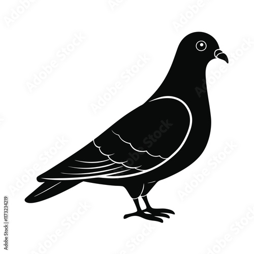 illustration of a pigeon