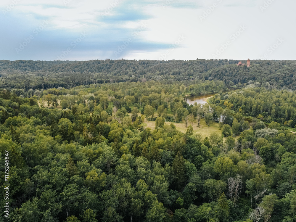 Obraz premium drone view of the river meandering through the woods