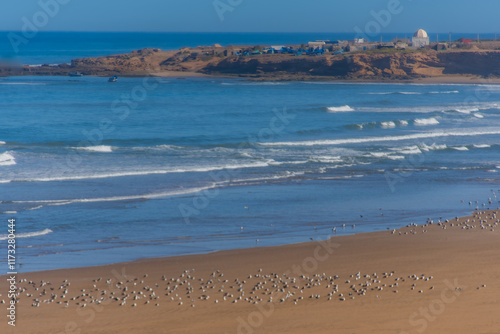 Seaside landscape in Morocco in the region of the town of Safi photo