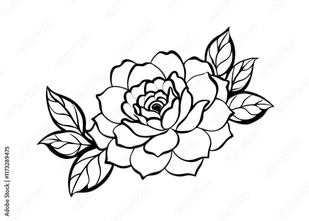 illustration of rose illustration of rose