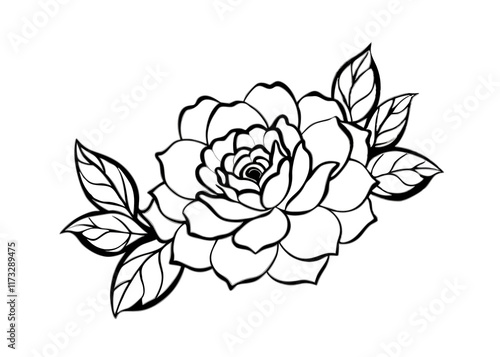 illustration of rose