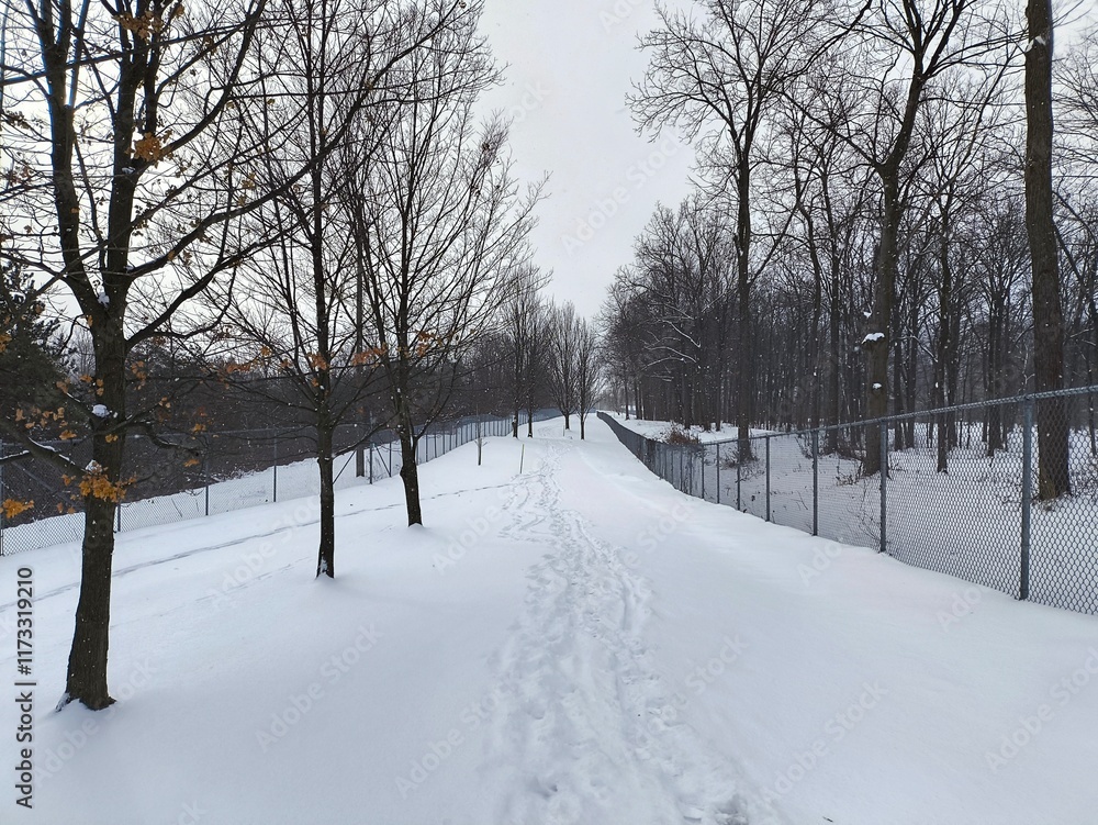 Fototapeta premium Winter Pathway