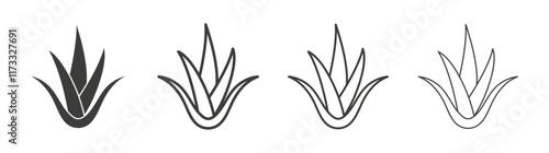 Aloe vera icon flat and linear vector illustration on white background.