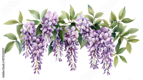 International women's day 2025 celebrating femininity with wisteria flowers