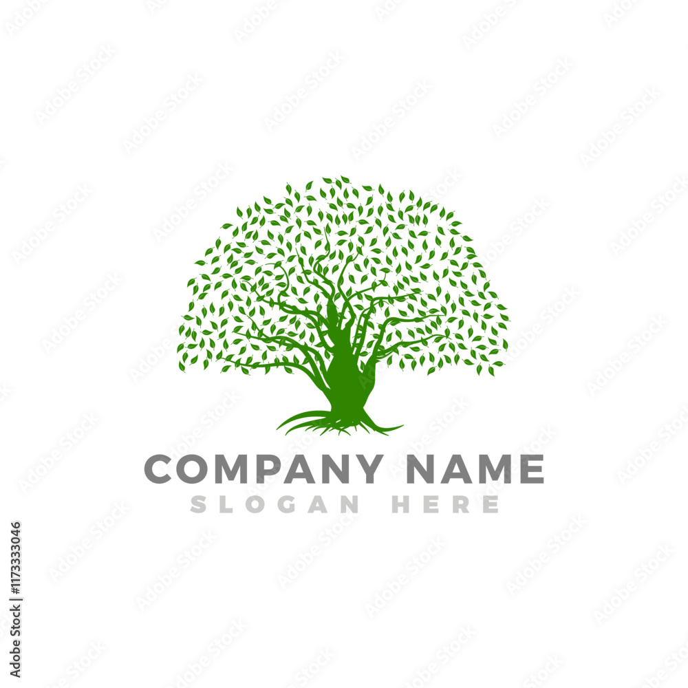 Obraz premium Oak tree logo design template