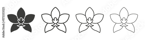 Moth orchid icon flat and linear vector illustration on white background.