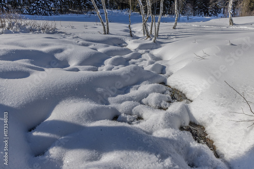 Winterlandschaft, Pinzgau, Zell am See, Pass Thurm photo