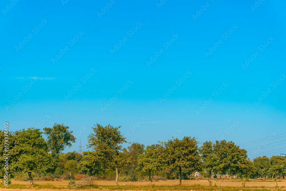 Beautiful Outdoor View of Trees and Nature Beautiful Outdoor View of Trees and Nature