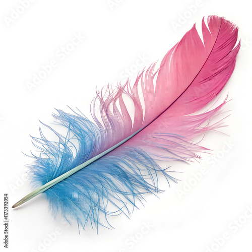  3d rendering of a feather isolated photo