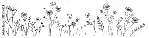 Botanical abstract line art composition, minimal floral border of hand drawn herbs, flowers, leaves, wildflowers and branches vector illustration.