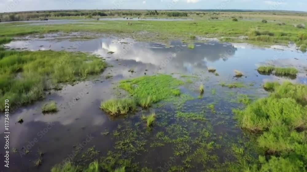 serene wetland landscape conservation symbolizing ecological balance or wetland habitat conservation promoting biodiversity or environmental preservation with peaceful wetland landscape serene wetland landscape conservation symbolizing ecological balance or wetland habitat conservation promoting biodiversity or environmental preservation with peaceful wetland landscape