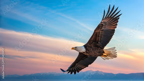 Wallpaper Mural Majestic Bald Eagle in Flight Against a Colorful Sunset Sky Torontodigital.ca
