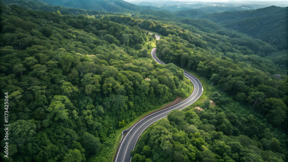 Serene Curving Road Through Lush Green Forest Landscape in Mountains