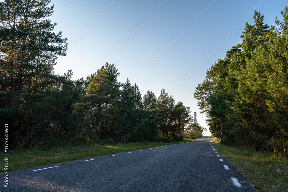 Fototapeta premium Countryside road leading to the Tahkuna Lighthouse in Hiiumaa, Estonia