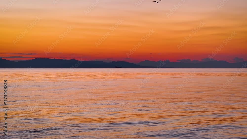 Aerial flight or captains boat POV over the calm ocean into the golden sunset with segulls Aerial flight or captains boat POV over the calm ocean into the golden sunset with segulls