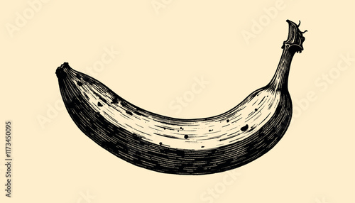 Intricate vintage banana engraving in black and sepia tones with detailed linework, illustration