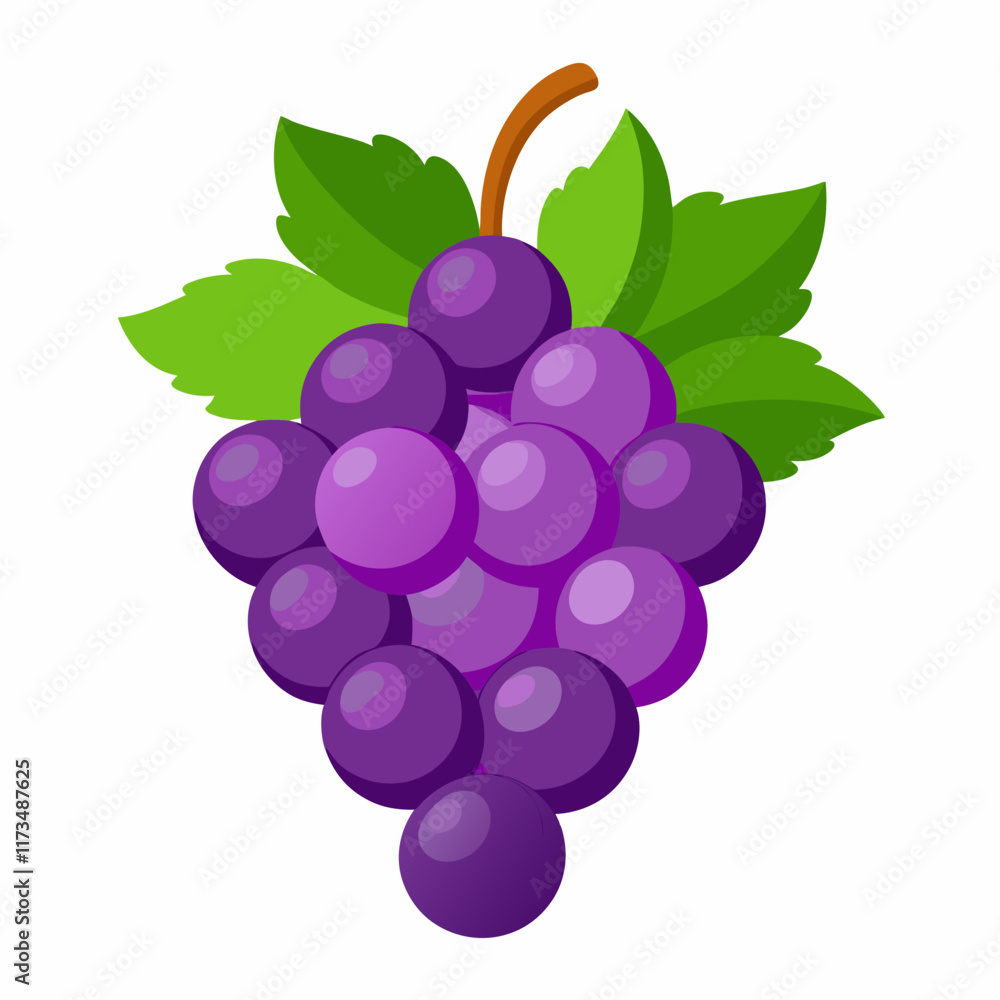 Fresh Grape Illustration Vector for Nature and Culinary Projects Fresh Grape Illustration Vector for Nature and Culinary Projects