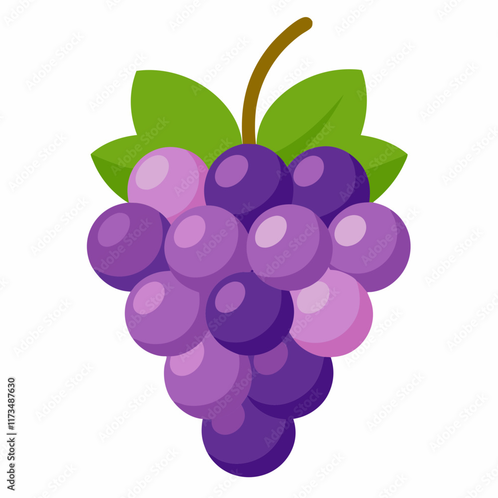 Fresh Grape Illustration Vector for Nature and Culinary Projects Fresh Grape Illustration Vector for Nature and Culinary Projects