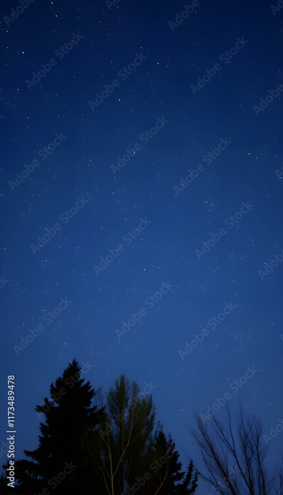 Fototapeta premium Night sky with stars, with white tones