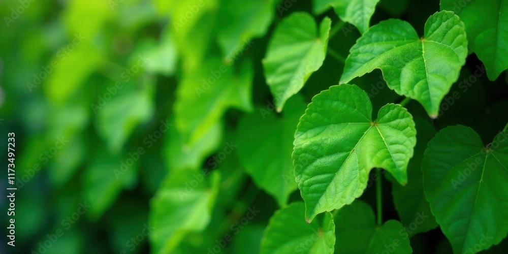 Lush Green Foliage Background, Perfect for Nature-Themed Designs and Projects