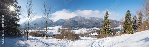 Wallpaper Mural winter hiking path Fischhausen, bavarian alps. bright sunshine Torontodigital.ca