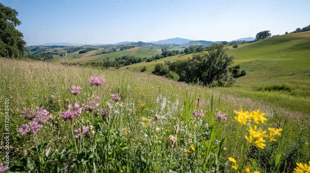 Obraz premium A vibrant meadow blooms with colorful wildflowers under a clear blue sky, creating a fresh and lively scene of natural beauty and tranquility.