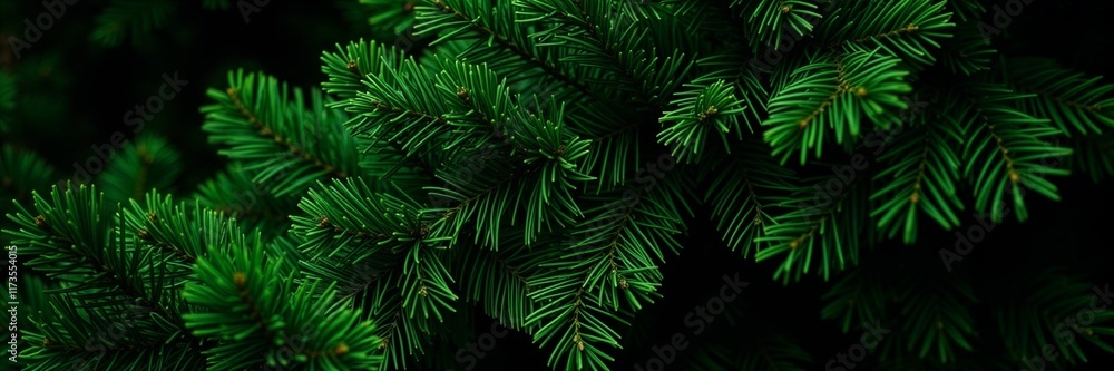 Pine needles close-up in natural style in green shades for holiday decoration Pine needles close-up in natural style in green shades for holiday decoration