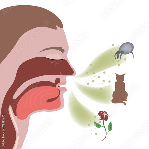Allergic rhinitis. Infographic of head with respiratory tract. Medical poster