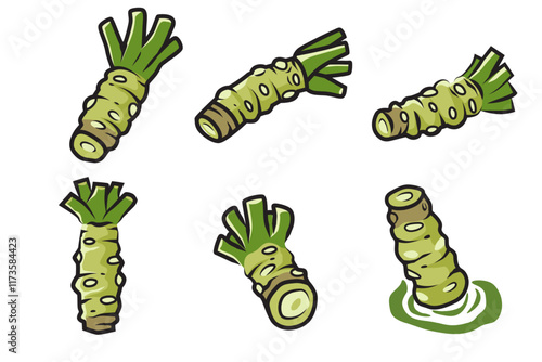 wasabi root, raw wasabi for japanese foodWhole and half wasabi isolated on white background. vector illustration