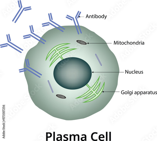 Plasma Cell Science Design Vector Illustration