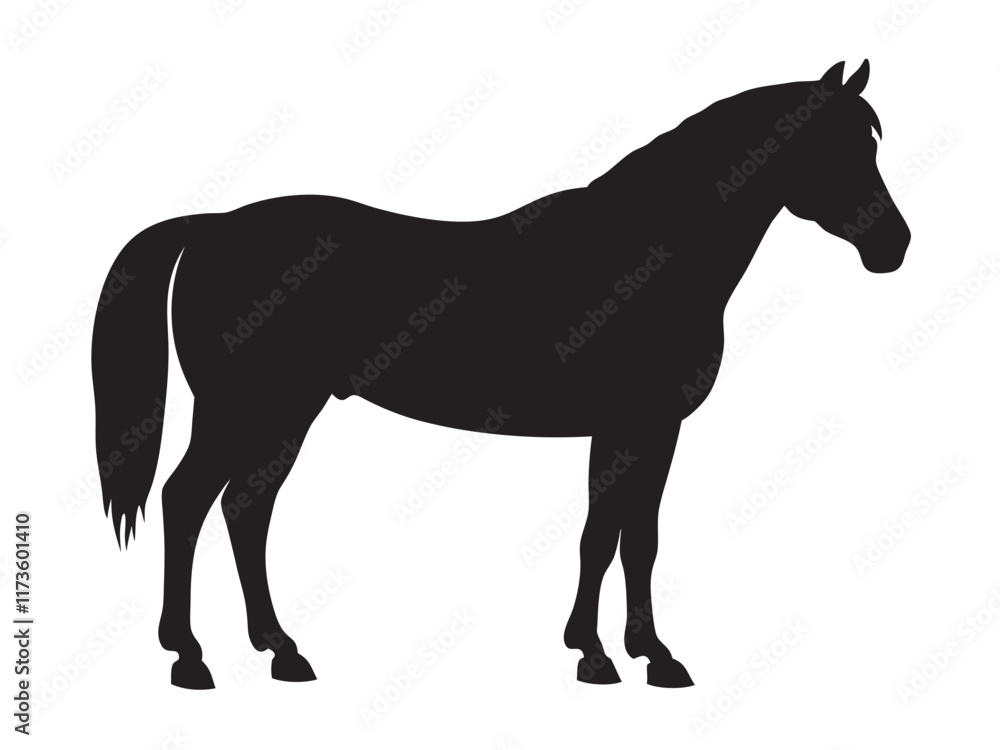 running horse silhouette. Western riding horse vector illustration, isolated on white background running horse silhouette. Western riding horse vector illustration, isolated on white background