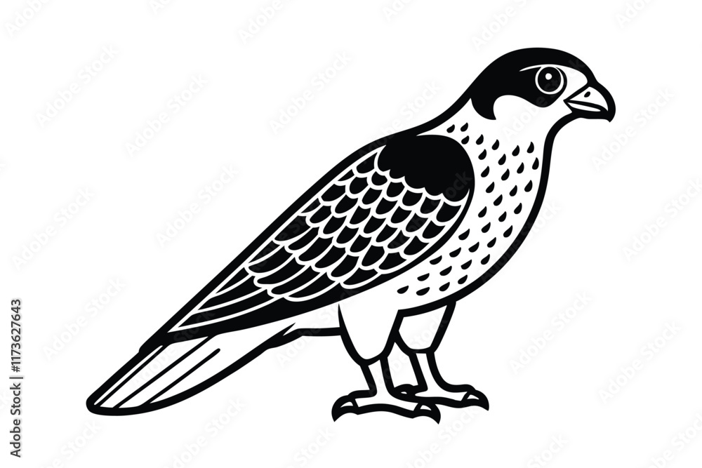 Fototapeta premium cute-falcon-cartoon