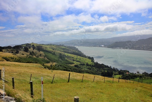 Otago Peninsula in Dunedin, New Zealand photo