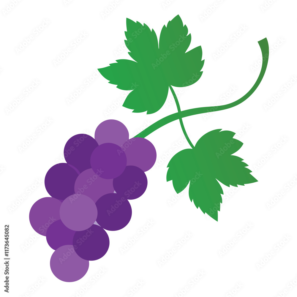 Obraz premium grape bush