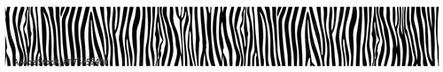 zebra stripe pattern texture seamless black and white vector decoration shape 